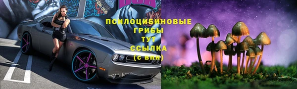 дживик Алексеевка