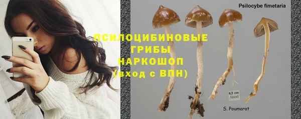 дживик Алексеевка