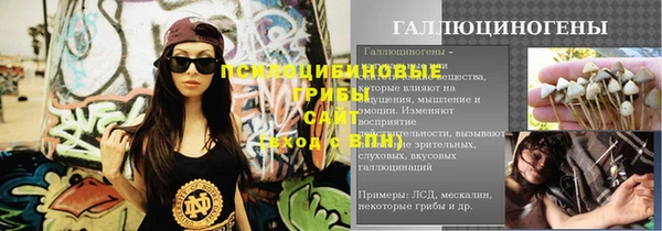 дживик Алексеевка